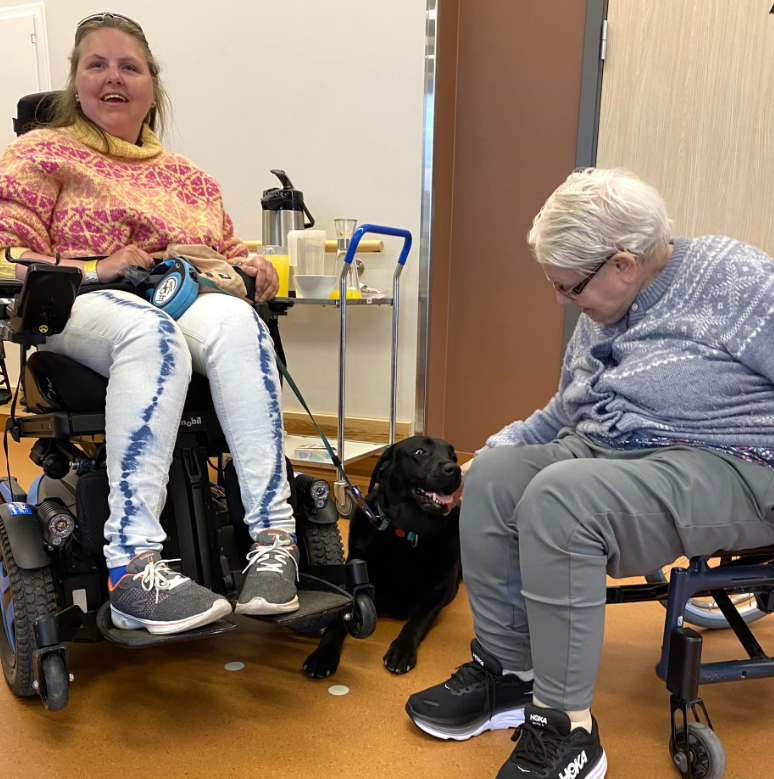 Trykk her for å se aktiviteten