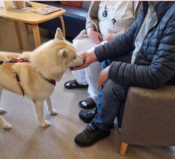 Trykk her for å se aktiviteten