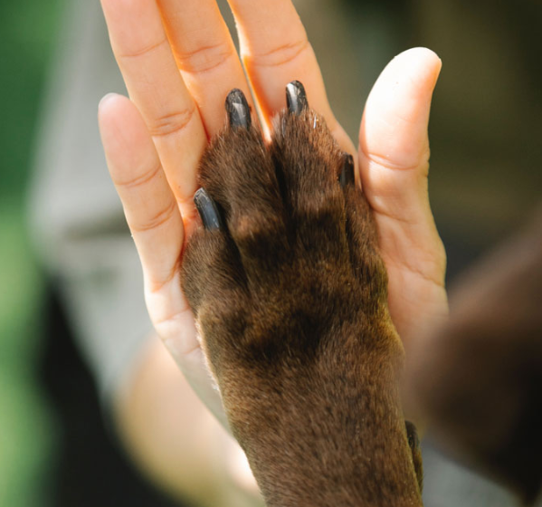 Trykk her for å se aktiviteten