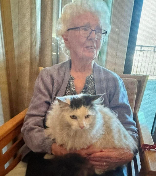 Trykk her for å se aktiviteten