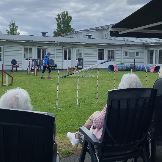 Trykk her for å se aktiviteten