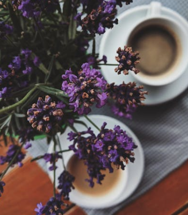 Trykk her for å se aktiviteten