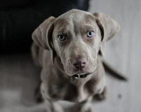 Trykk her for å se aktiviteten