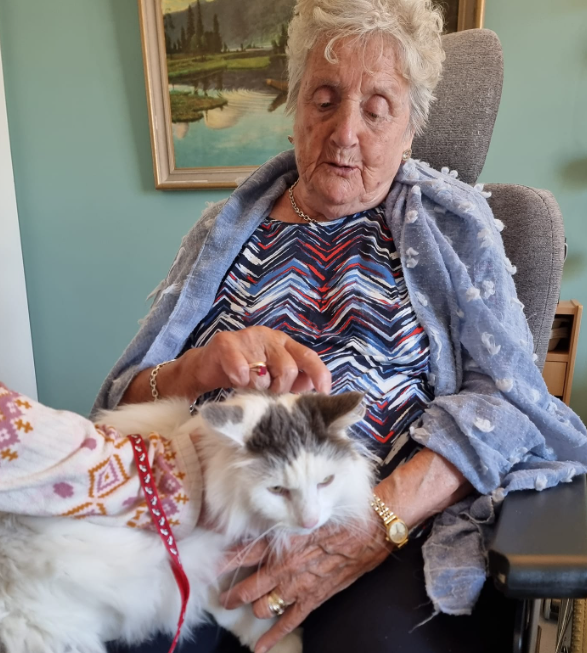 Trykk her for å se aktiviteten