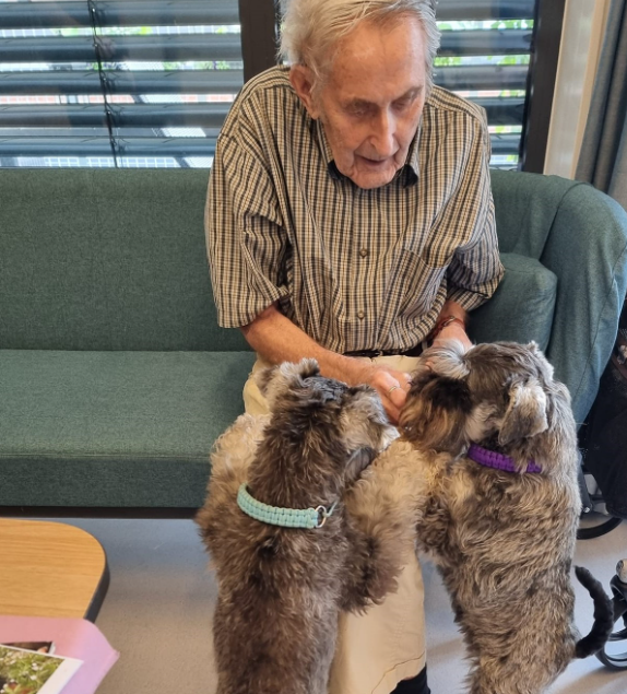 Trykk her for å se aktiviteten