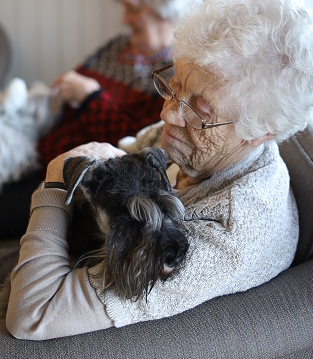 Trykk her for å se aktiviteten