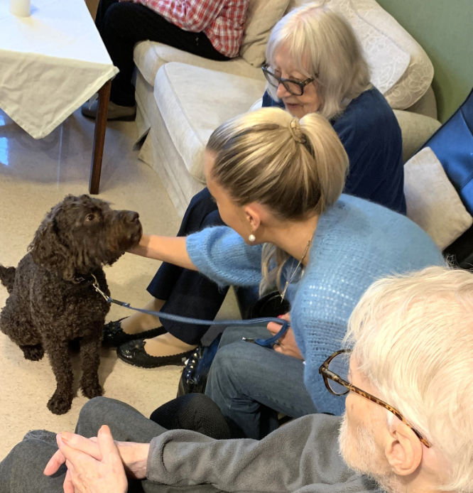 Trykk her for å se aktiviteten