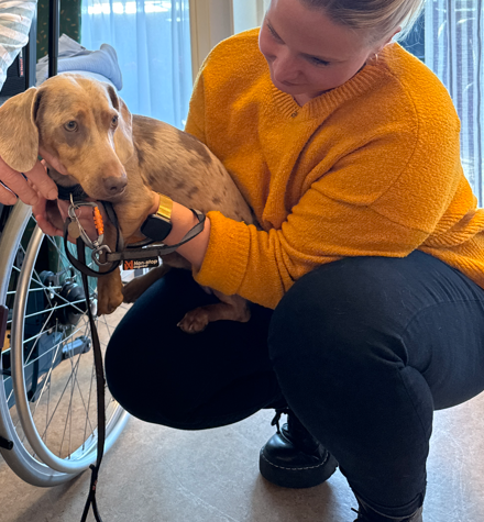 Trykk her for å se aktiviteten