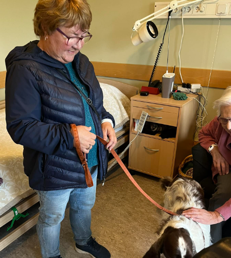 Trykk her for å se aktiviteten