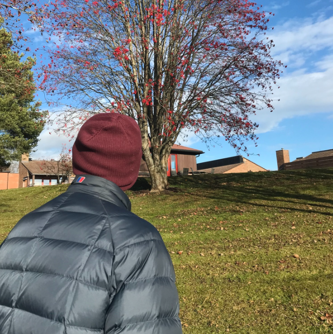 Trykk her for å se aktiviteten