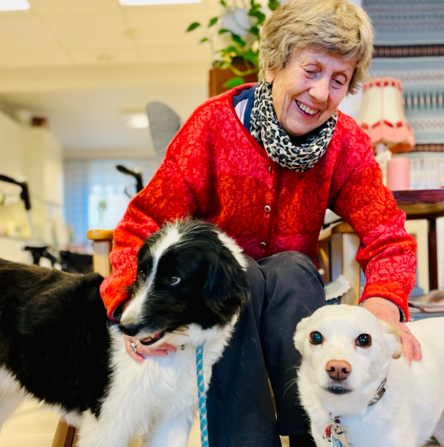 Trykk her for å se aktiviteten