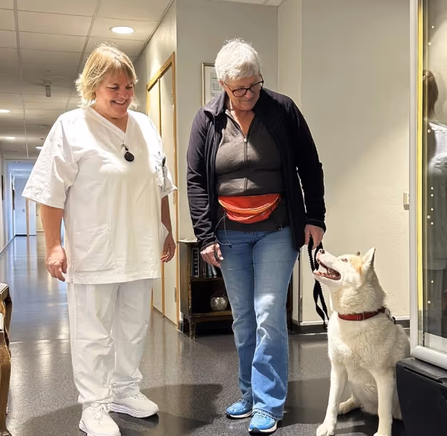 Trykk her for å se aktiviteten