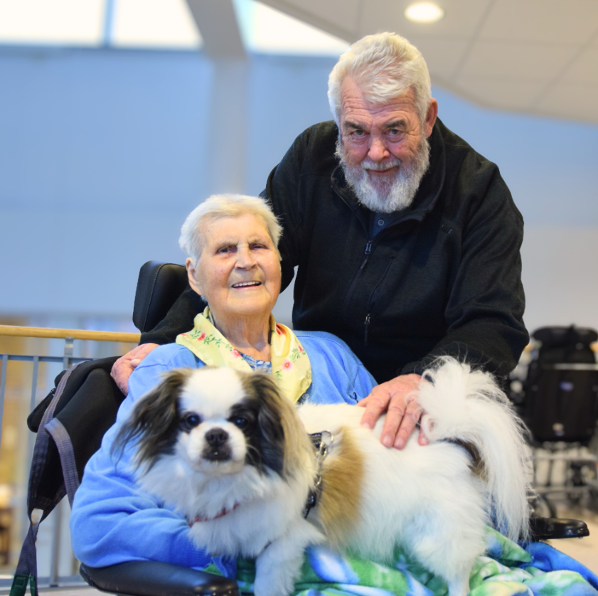 Trykk her for å se aktiviteten