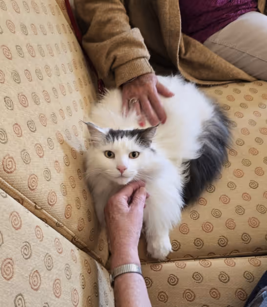 Trykk her for å se aktiviteten