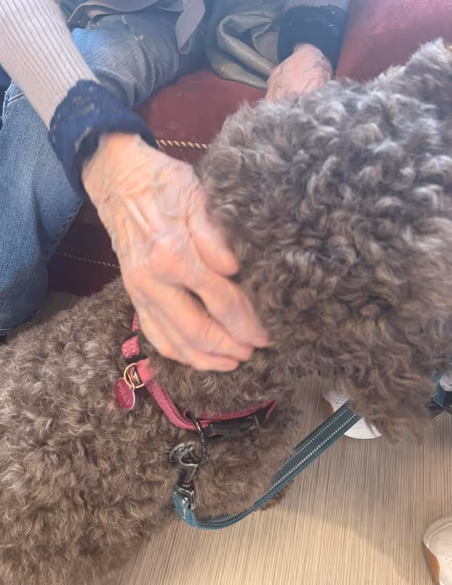 Trykk her for å se aktiviteten