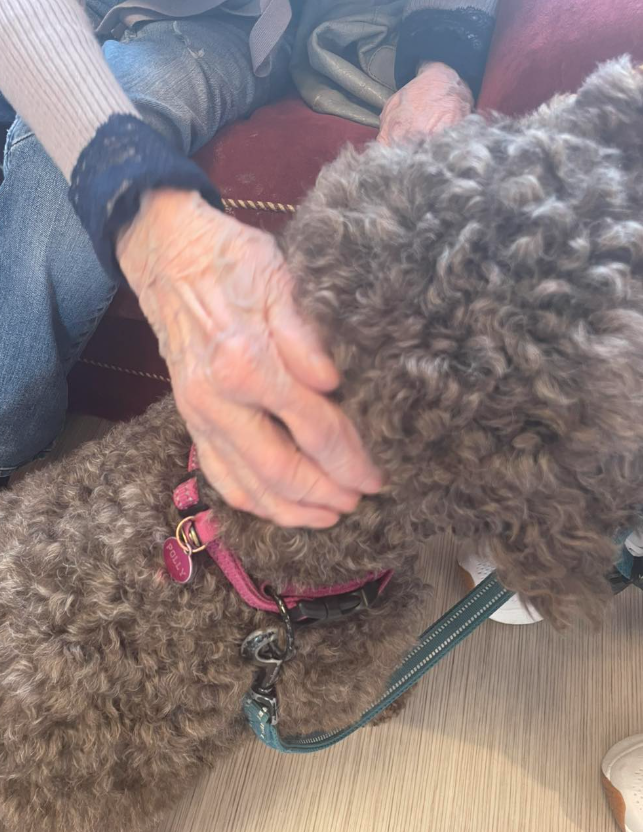 Trykk her for å se aktiviteten