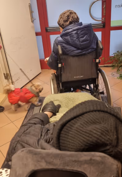 Klicka här för att se aktiviteten