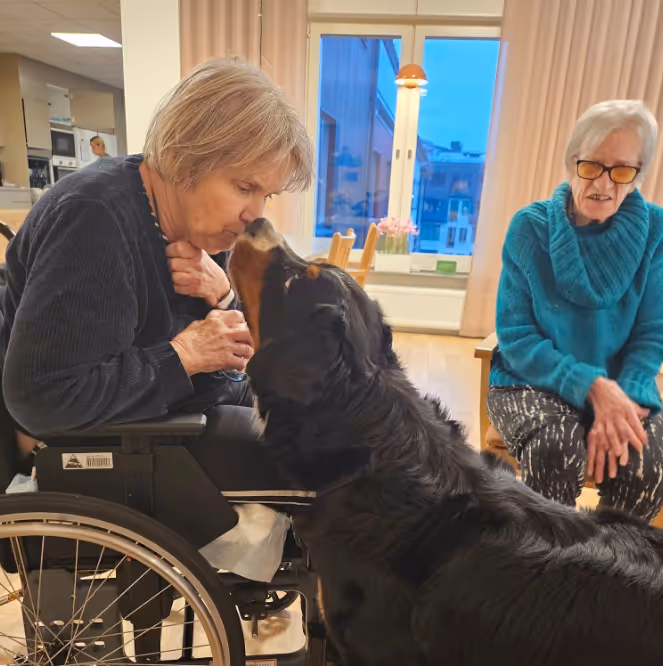 Klicka här för att se aktiviteten