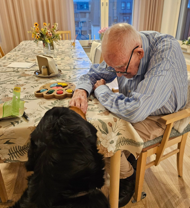 Klicka här för att se aktiviteten