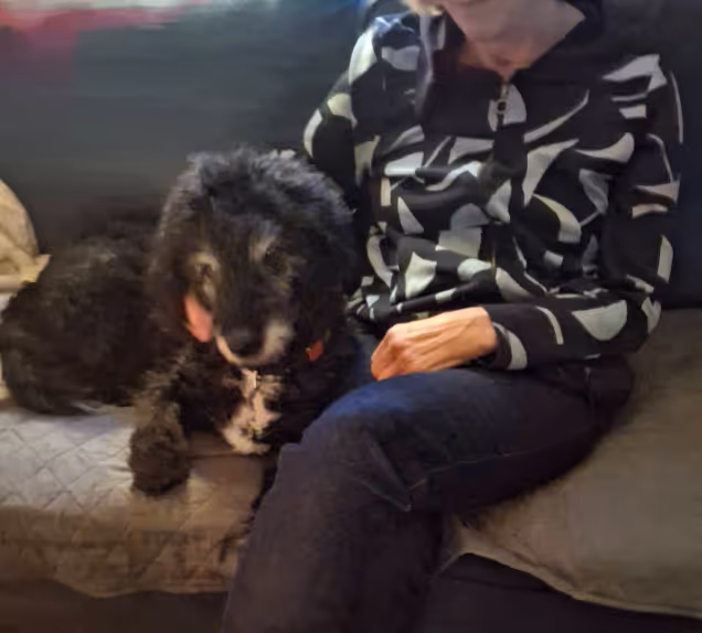 Klicka här för att se aktiviteten