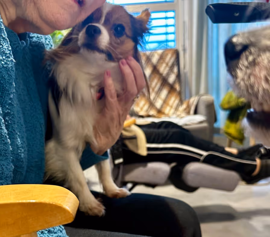 Trykk her for å se aktiviteten