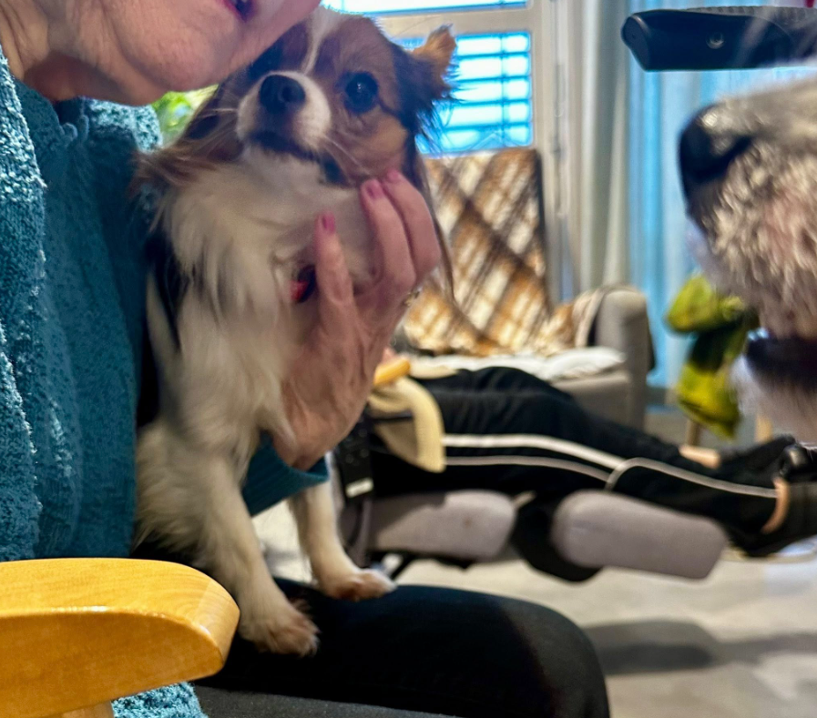 Trykk her for å se aktiviteten