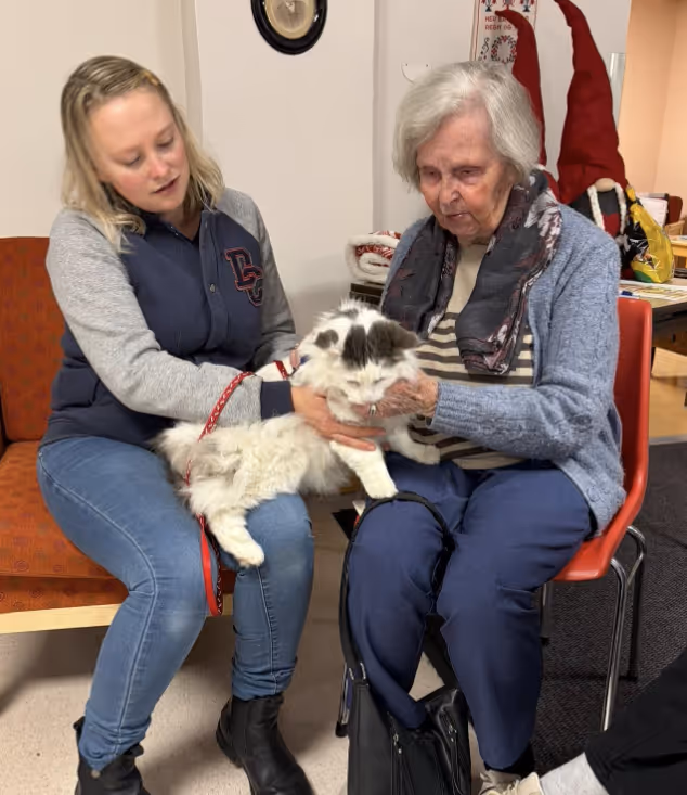 Trykk her for å se aktiviteten