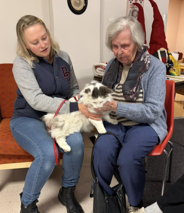 Trykk her for å se aktiviteten