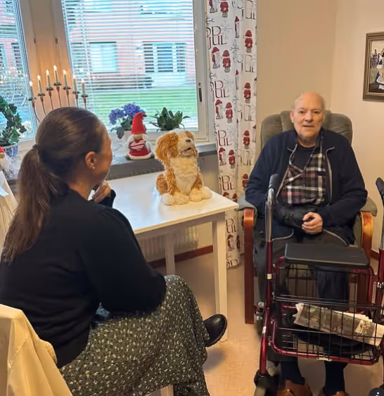 Klicka här för att se aktiviteten