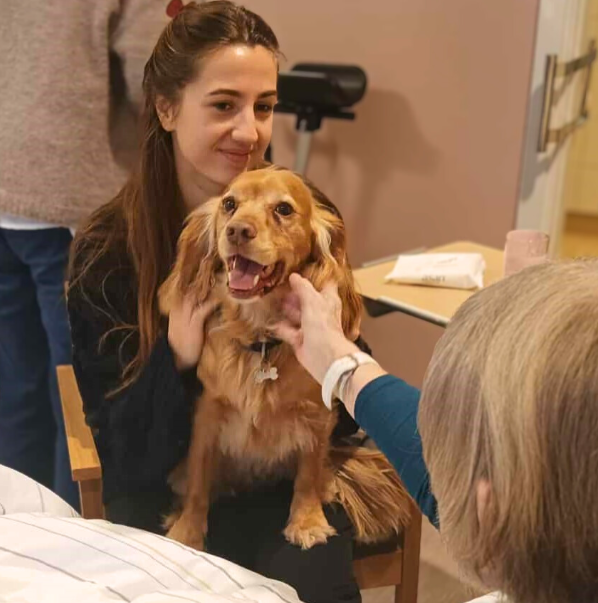 Trykk her for å se aktiviteten