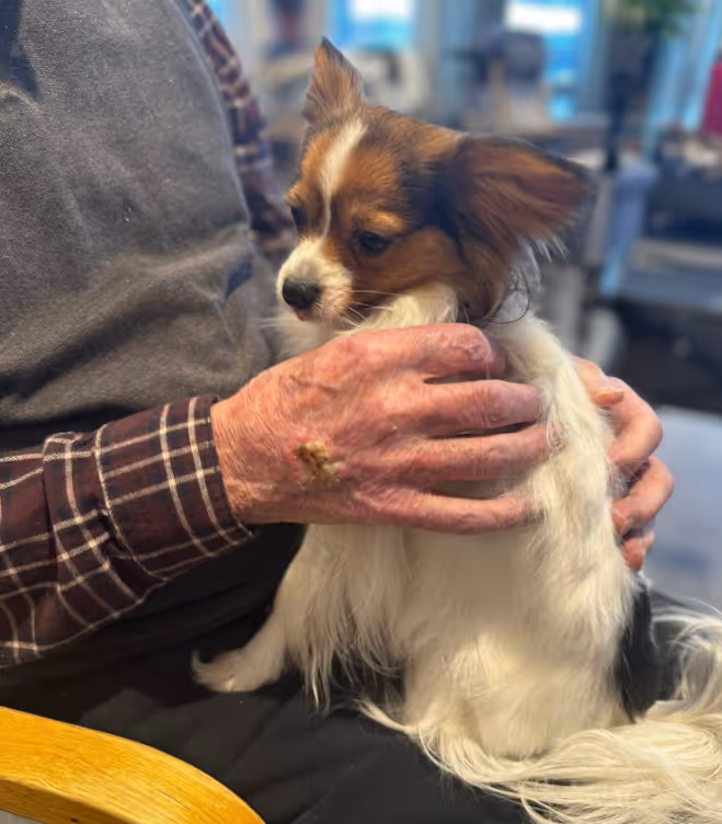 Trykk her for å se aktiviteten