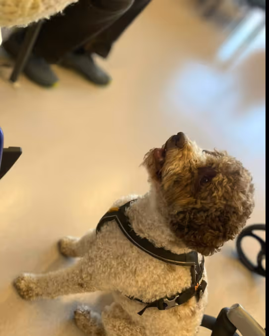 Trykk her for å se aktiviteten