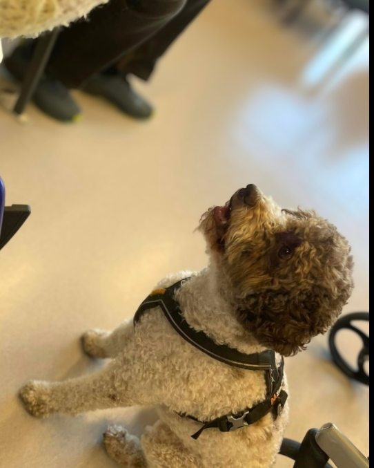 Trykk her for å se aktiviteten