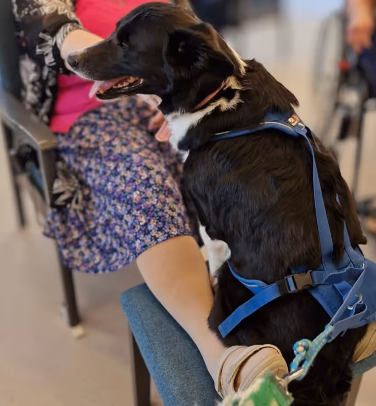 Trykk her for å se aktiviteten