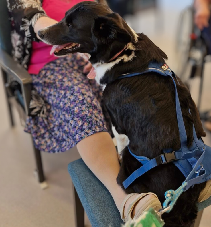 Trykk her for å se aktiviteten