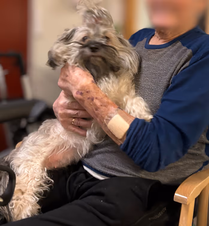 Trykk her for å se aktiviteten