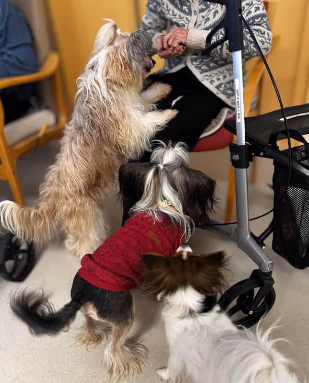 Trykk her for å se aktiviteten