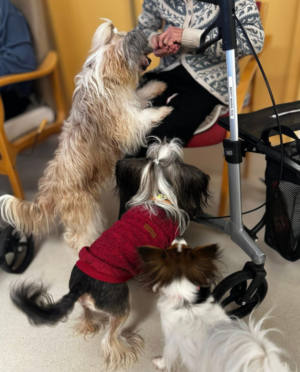 Trykk her for å se aktiviteten