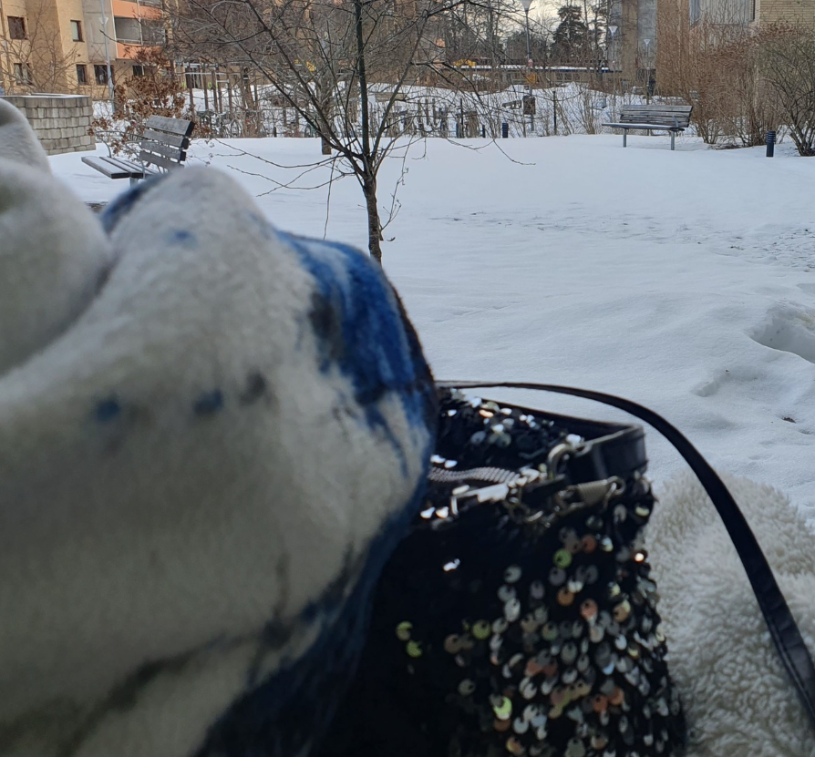 Klicka här för att se aktiviteten