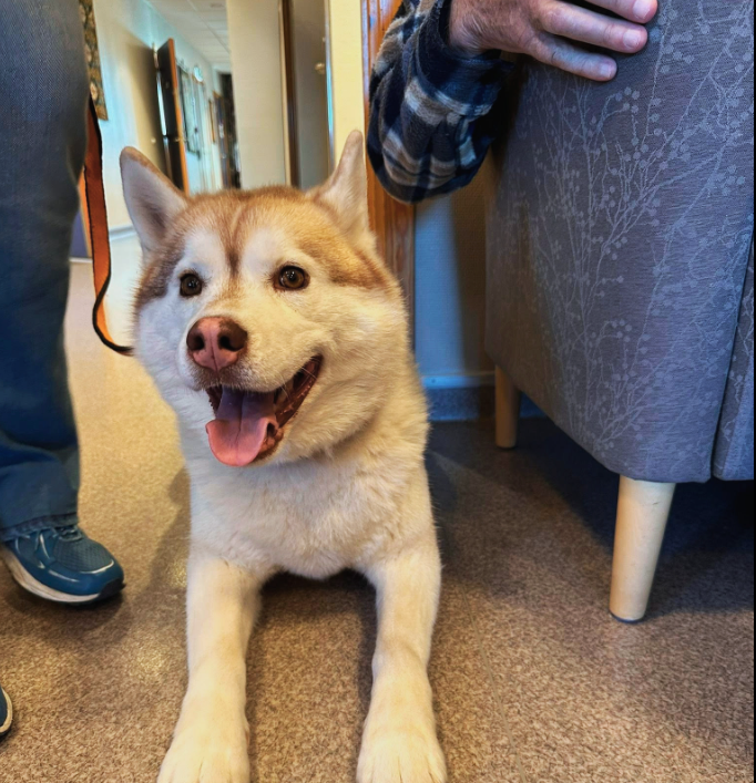 Trykk her for å se aktiviteten