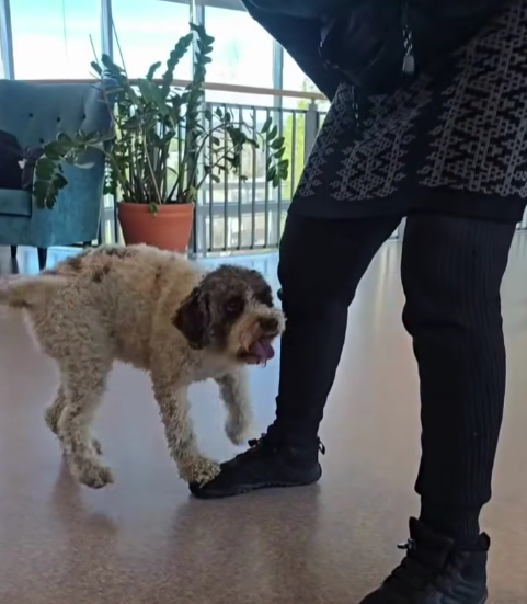 Trykk her for å se aktiviteten