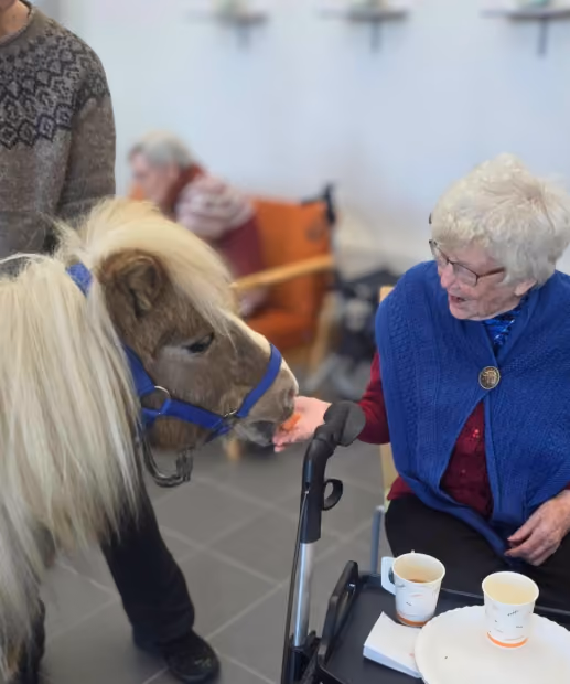 Trykk her for å se aktiviteten