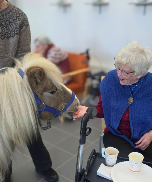 Trykk her for å se aktiviteten