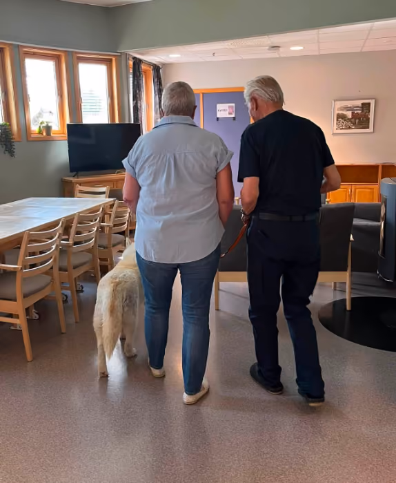 Trykk her for å se aktiviteten