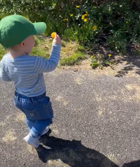 Trykk her for å se aktiviteten
