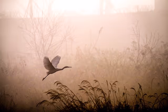 Hoe stembevrijding kan ondersteunen bij een hersenbeschadiging