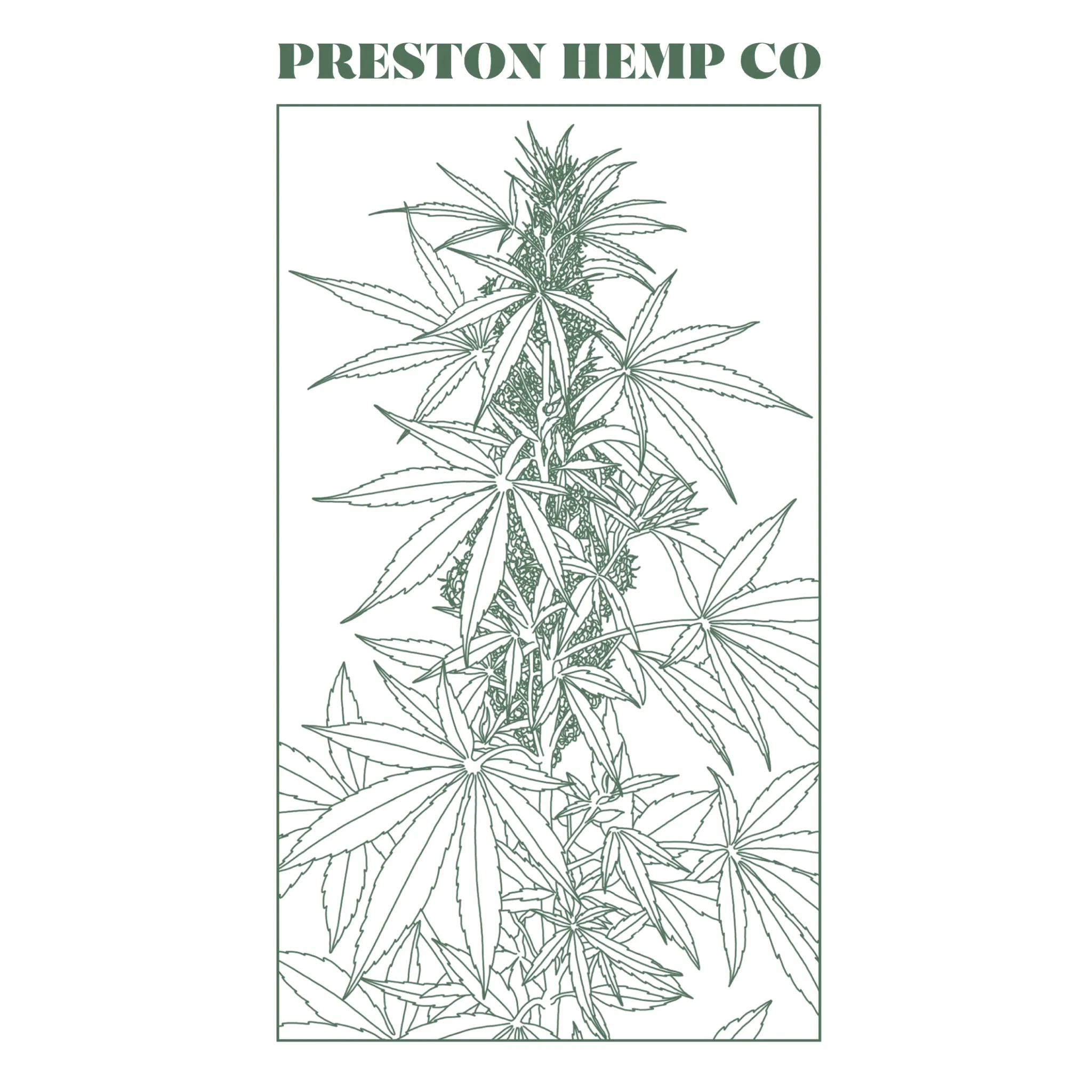 PHC Classic Sticker (2"x3.5")