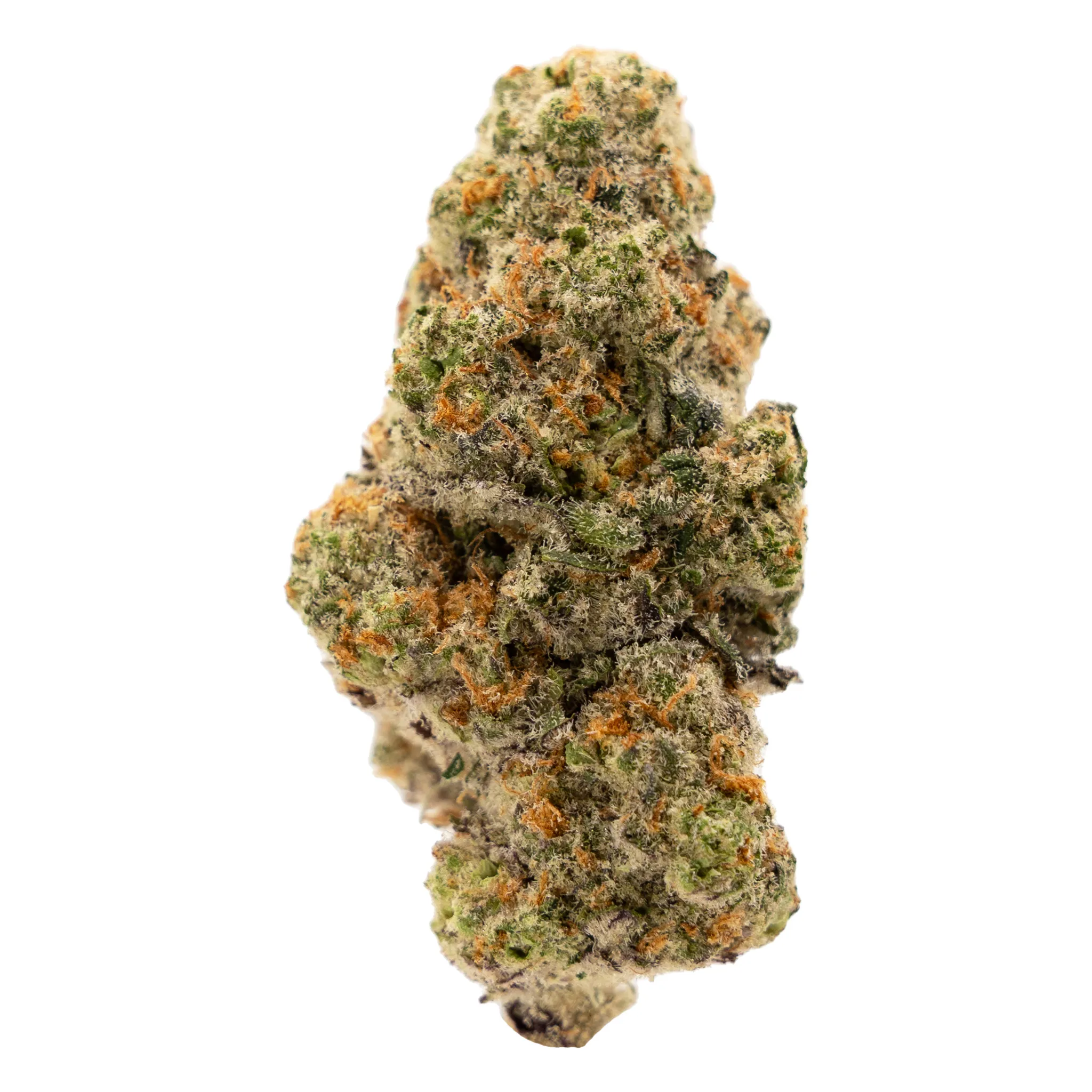 Glitter Bomb (Indoor)