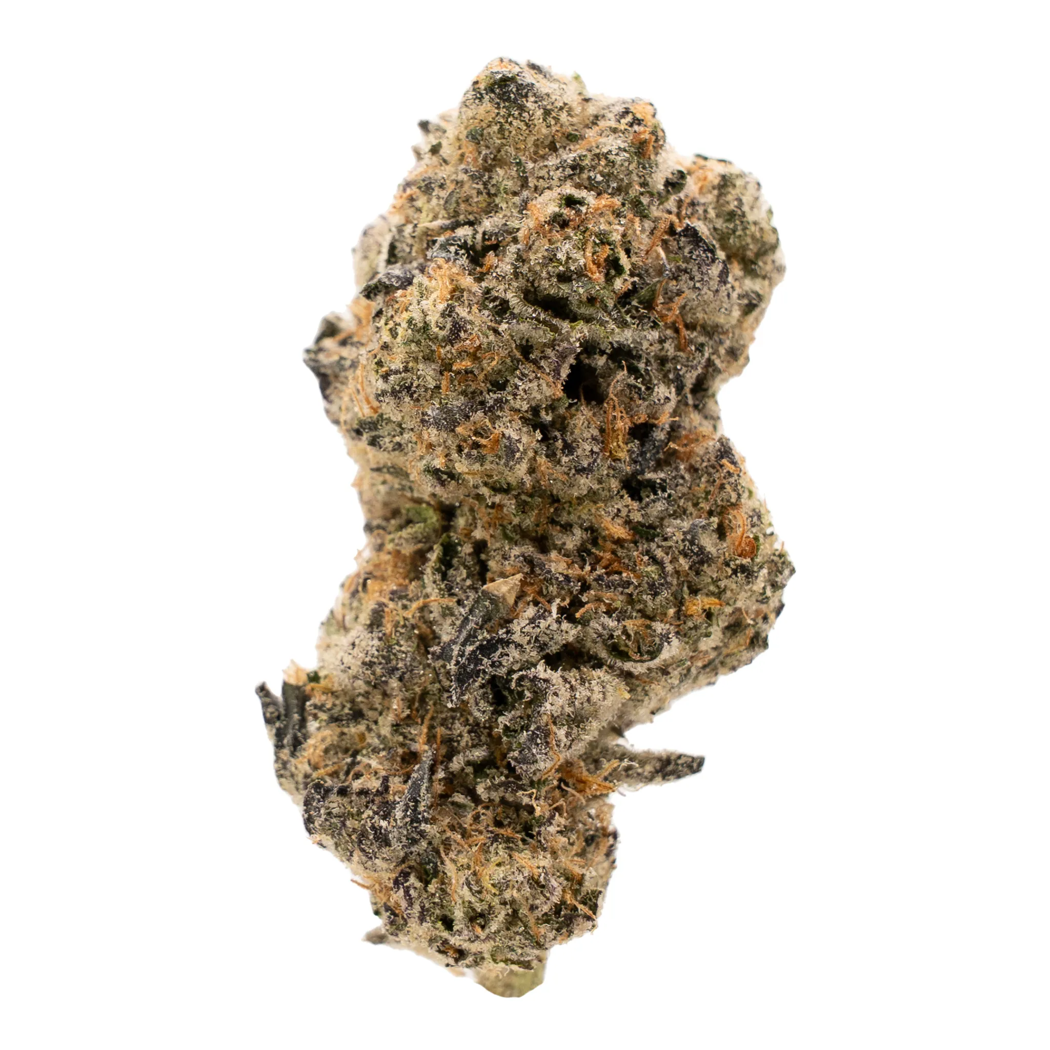 Ghost Squadron (Indoor)