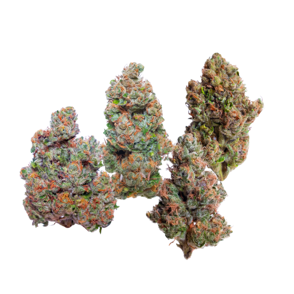 Greenhouse Sampler